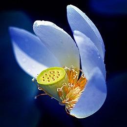 《重金属：地狱歌手》延期至2022年 PS4＆XB1版本取消